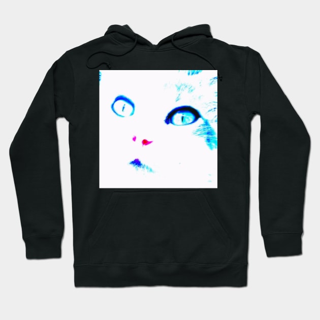 Kim Kitty Hoodie by davidbstudios